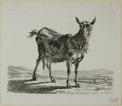 Stojąca Koza, z Die Zweite Thiernahme autorstwa Johann Christian Reinhart