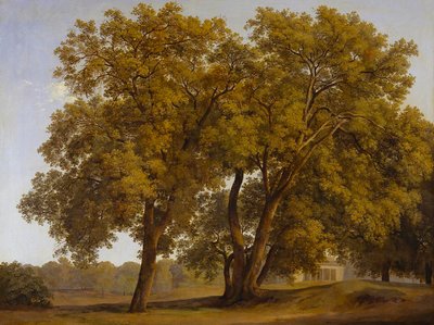  autorstwa Johann Christian Reinhart