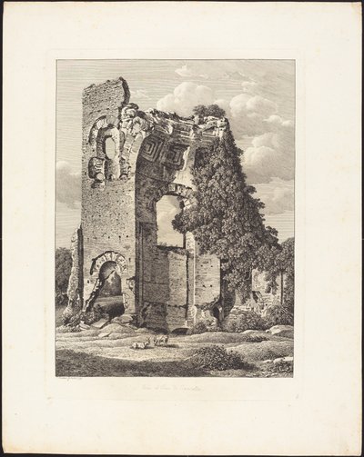 W pobliżu cyrku Karakalli autorstwa Johann Christian Reinhart