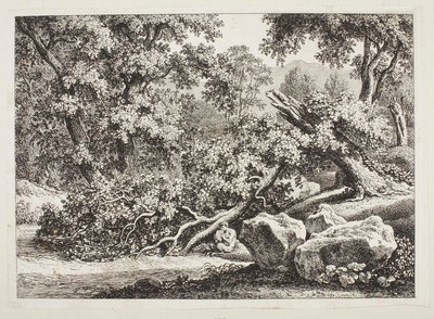 Scena leśna z połamanym dębem autorstwa Johann Christian Reinhart