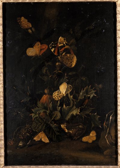 Kwiaty z motylami i ropuchą (olej na dębie) autorstwa Johann Christian Thomas Winck