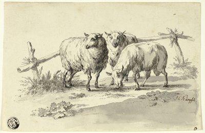 Owce autorstwa Johann Christoph Kimpfel