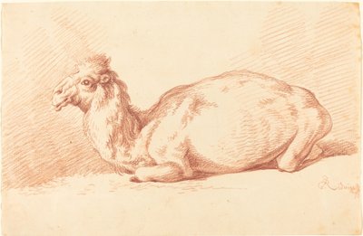 Dromader autorstwa Johann Elias Ridinger