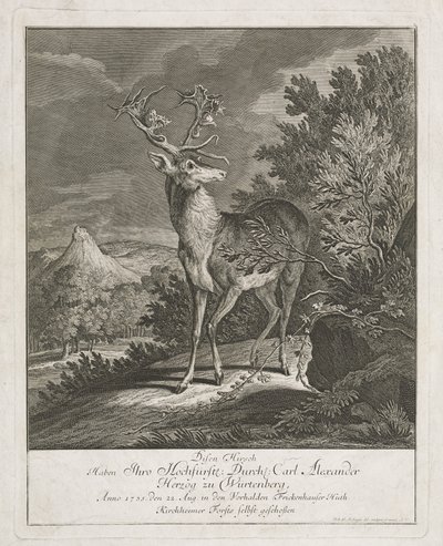 Wspaniały jeleń w krajobrazie autorstwa Johann Elias Ridinger