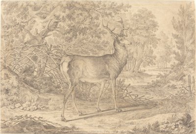 Wspaniały młody jeleń przed płotem z akacji autorstwa Johann Elias Ridinger