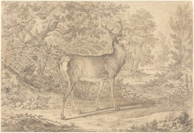  autorstwa Johann Elias Ridinger