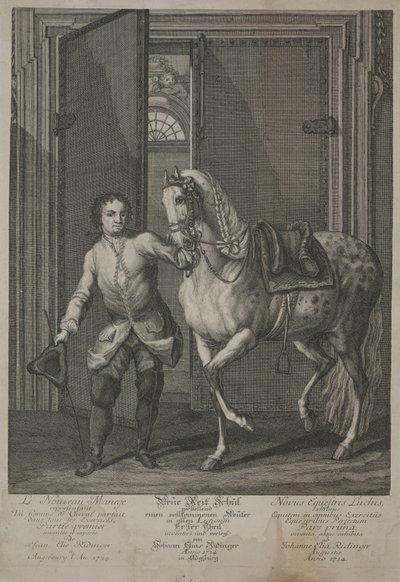 Nowa Szkoła Jeździectwa autorstwa Johann Elias Ridinger