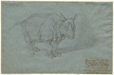 Nosorożec „Pani Clara” autorstwa Johann Elias Ridinger