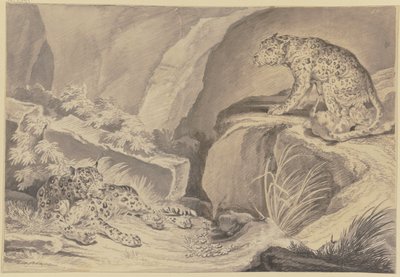  autorstwa Johann Elias Ridinger