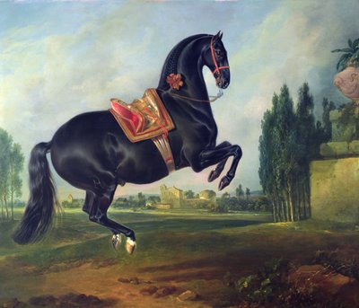 Czarny koń wykonujący kurbettę (szczegóły patrz 264709) autorstwa Johann Georg Hamilton