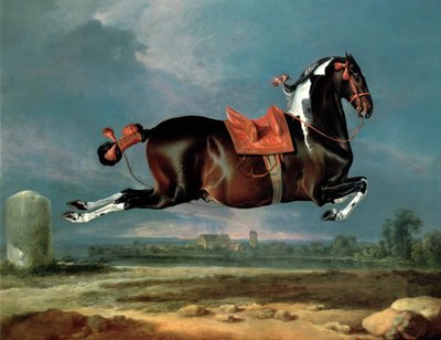Hodowla konia srokatego „Cehero” autorstwa Johann Georg Hamilton