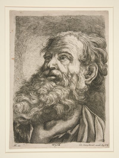 Głowa mężczyzny (apostoła?) autorstwa Johann Georg Hertel