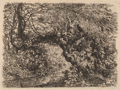 Stara wierzba nad strumieniem autorstwa Johann Georg von Dillis