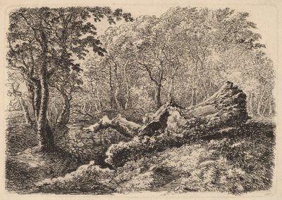 Butwiejący pień drzewa, 1794. autorstwa Johann Georg von Dillis