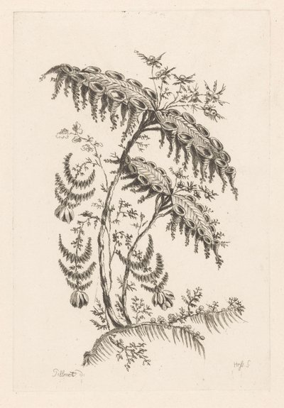 Liście o kształcie rogów Fleures Barok (tytuł serii) autorstwa Johann Heinrich  Hess