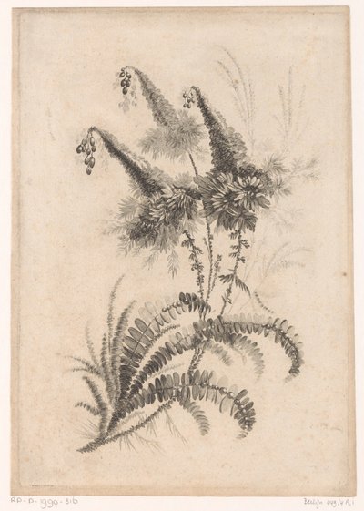 Puntige bloemen Kolekcja kwiatów nowego smaku; For the Manufacture des Etoffes de Perse (tytuł serii) autorstwa Johann Heinrich  Hess