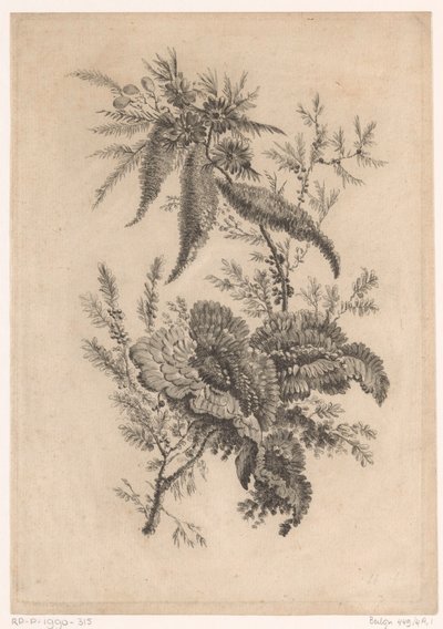 Wilde roosachtigen Kolekcja kwiatów nowego smaku; For the Manufacture des Etoffes de Perse (tytuł serii) autorstwa Johann Heinrich  Hess