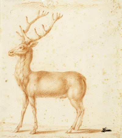 Jeleń autorstwa Johann Heinrich Roos