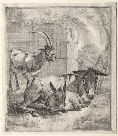 Koza i Osły autorstwa Johann Heinrich Roos