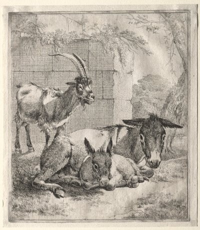 Koza i osły. autorstwa Johann Heinrich Roos