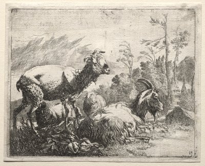 Kozy autorstwa Johann Heinrich Roos