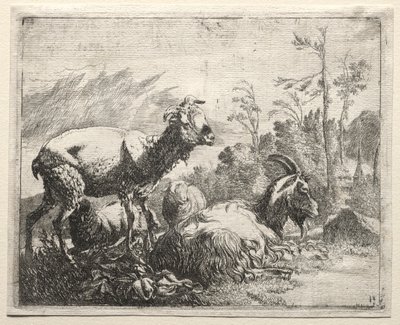 Kozy, 1665. autorstwa Johann Heinrich Roos