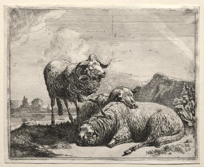 Baran i dwie owce autorstwa Johann Heinrich Roos