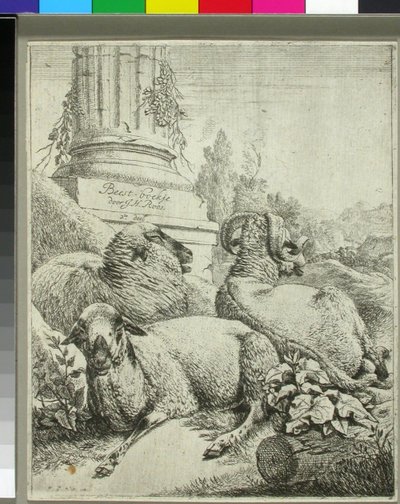  autorstwa Johann Heinrich Roos