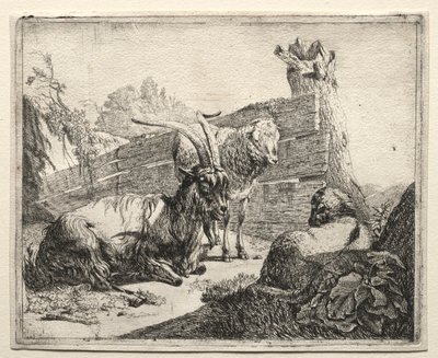 Żywopłot, 1665. autorstwa Johann Heinrich Roos