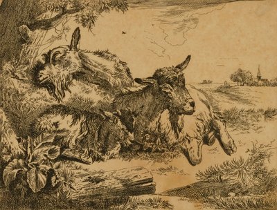 Dwie kozy i koźlę autorstwa Johann Heinrich Roos