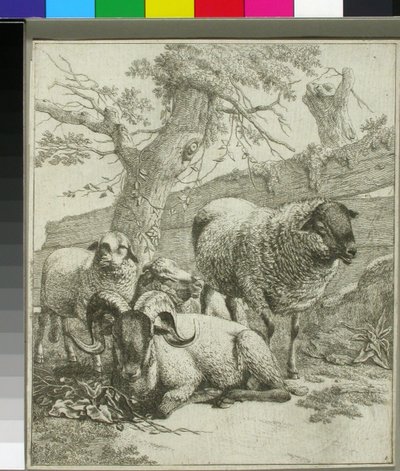 Ohne Titel autorstwa Johann Heinrich Roos
