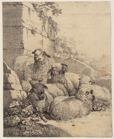  autorstwa Johann Heinrich Roos