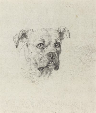 Bokser autorstwa Johann Heinrich Wilhelm Tischbein