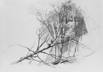 Scena leśna, . autorstwa Johann Hermann Carmiencke
