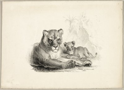 Lew z młodymi autorstwa Johann Höchle