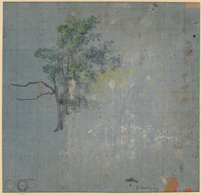 Studia drzew (verso) autorstwa Johann Jacob Dorner