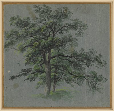 Dwa drzewa (rekto) autorstwa Johann Jacob Dorner
