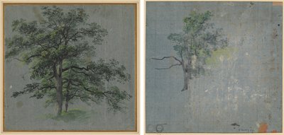 Dwa drzewa (recto) Tree Studies (verso) autorstwa Johann Jacob Dorner