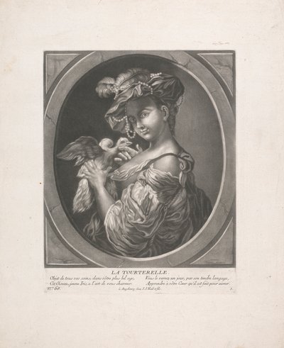 Gołąb autorstwa Johann Jacobus Haid