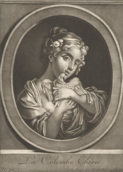 Kochany gołąb autorstwa Johann Jacobus Haid