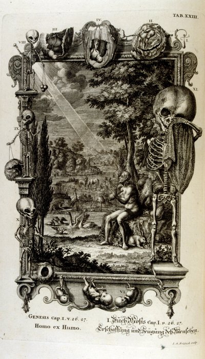 Miedzioryt z „Physica Sacra” szwajcarskiego uczonego. Johanna Jakoba Scheuchzera autorstwa Johann Jakob Scheuchzer