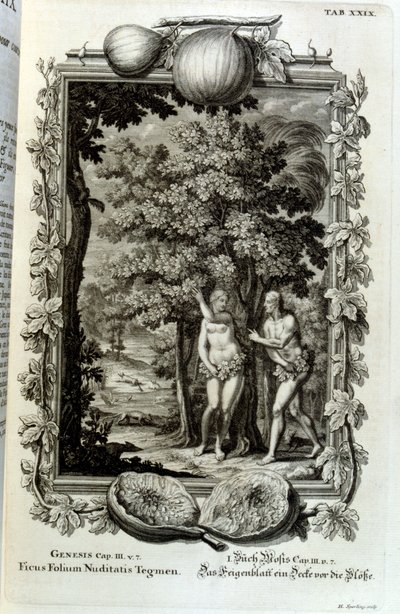 Miedzioryt z „Physica Sacra” szwajcarskiego uczonego. Johanna Jakoba Scheuchzera autorstwa Johann Jakob Scheuchzer
