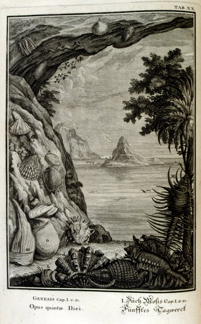 Miedzioryt z „Physica Sacra” szwajcarskiego uczonego. Johanna Jakoba Scheuchzera autorstwa Johann Jakob Scheuchzer
