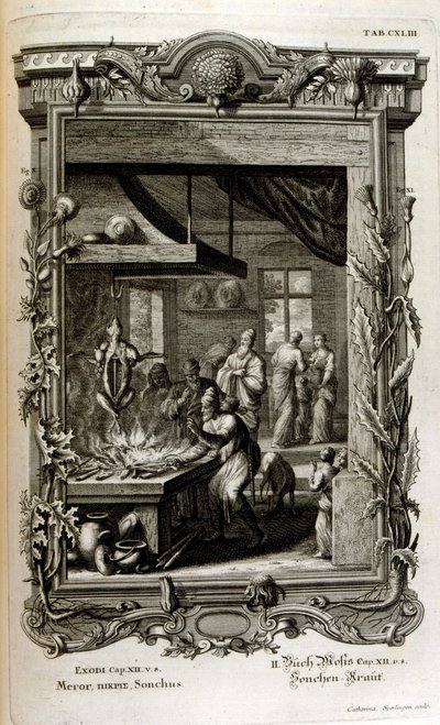 Ilustracja z świętej fizyki lub historii naturalnej Biblii autorstwa Johann Jakob Scheuchzer