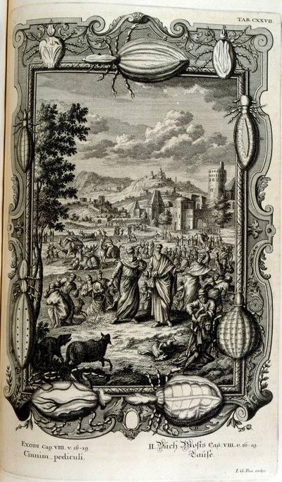 Plaga wszy i muszek autorstwa Johann Jakob Scheuchzer