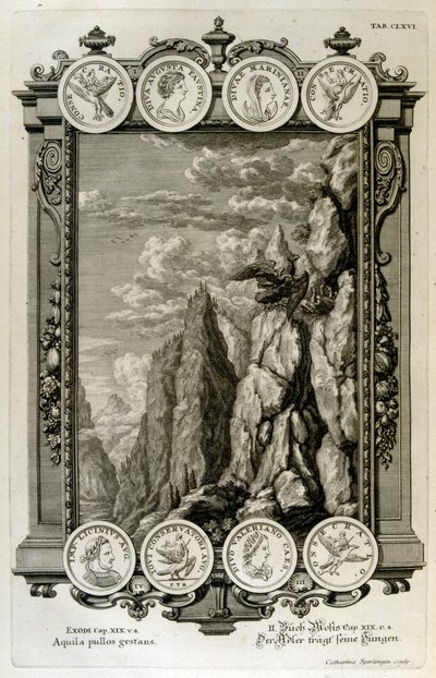Zeus symbolizowany jako orzeł autorstwa Johann Jakob Scheuchzer