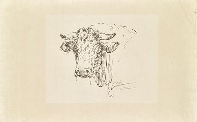 głowa byka autorstwa Johann Josef Schindler