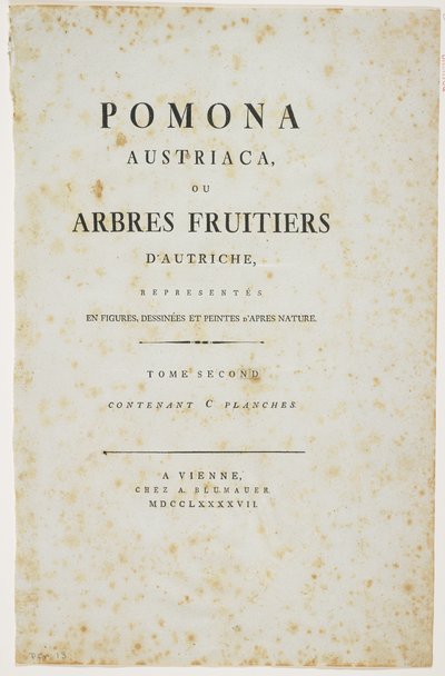 Strona tytułowa z „Pomona Austriaca, czyli austriackie drzewa owocowe”, 1787-96 (druk) autorstwa Johann Kraft