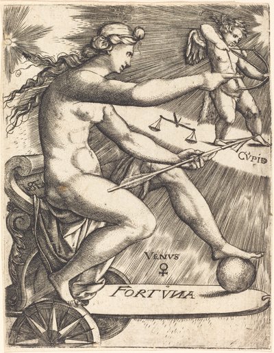 Wenus autorstwa Johann Ladenspelder