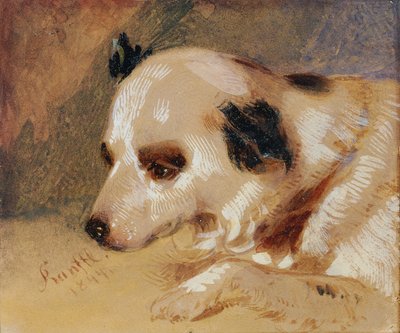  autorstwa Johann Matthias Ranftl